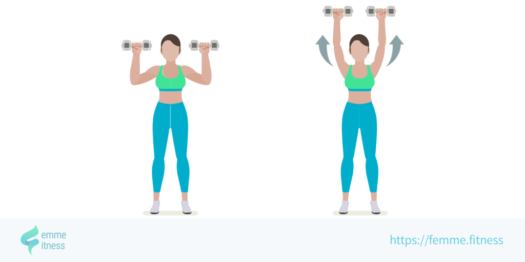 Shoulder press Développé épaules avant et arrière (Barre, Haltères &