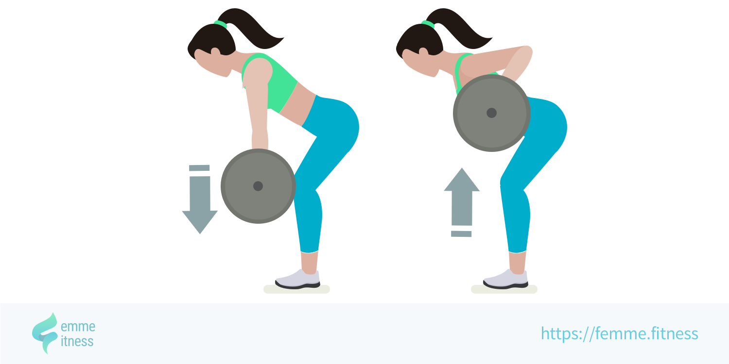 BentOver Row Rowing à la barre, corps penché (ou élastique)