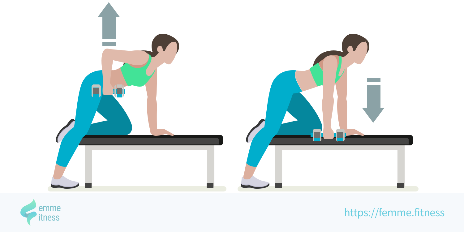 Rowing Un Bras Avec Halt re Sur Banc ou lastique Rowing Un Bras Avec Halt re Sur Banc ou lastique
