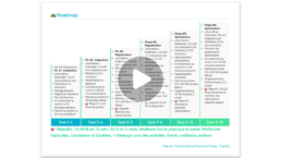 roadmap sur 12 semaines