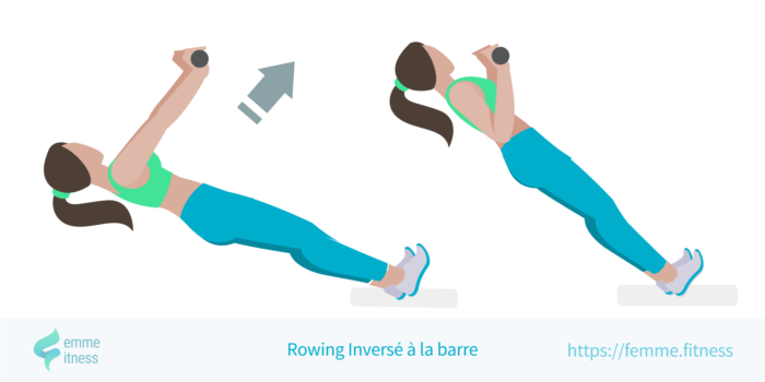 exercice rowing inversé à la barre en dessin