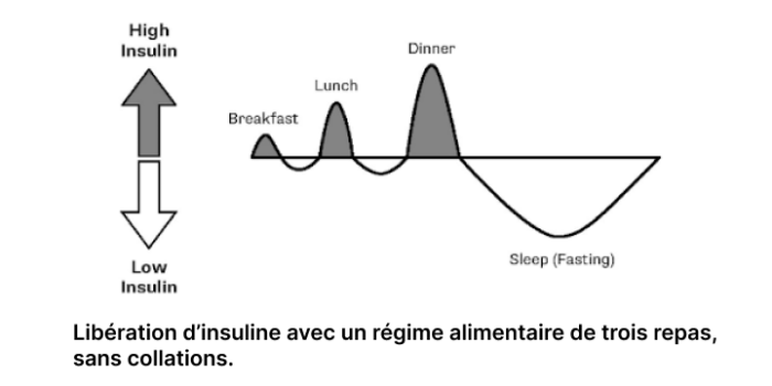 pic d'insuline après les repas